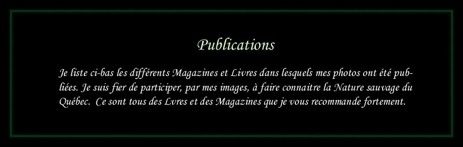 [Logo Publications]