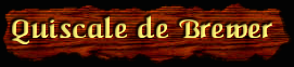 [Quiscale de Brewer]
