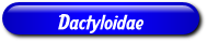 [Dactyloidae]