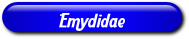 [Emydidae]