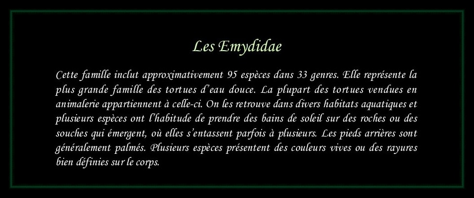 [Emydidae]
