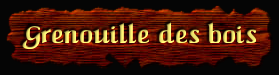 [Grenouille des bois]