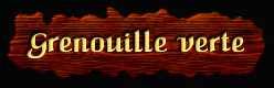 [Grenouille verte]