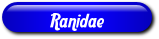 [Ranidae]