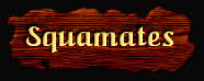[Squamates]