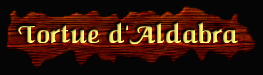 [Tortue d'Aldabra]