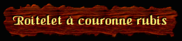 [Roitelet à couronne rubis]