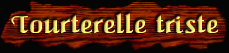[Tourterelle triste]