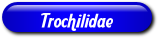 [Trochilidae]