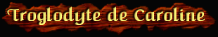[Troglodyte de Caroline]