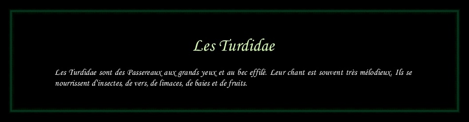 [Logo Turdidae]