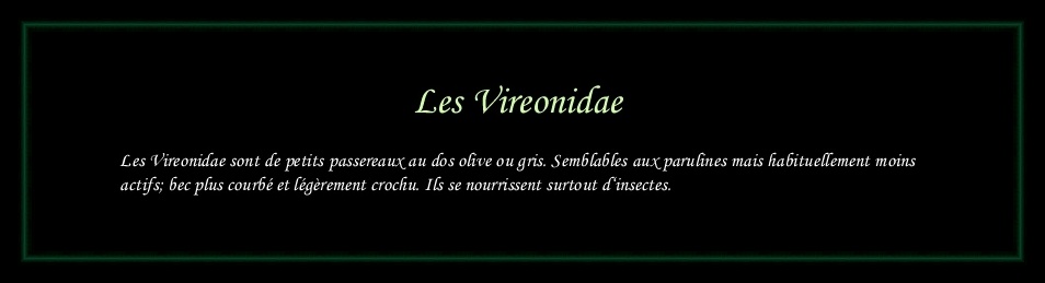 [Logo Vireonidae]