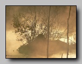 Brume